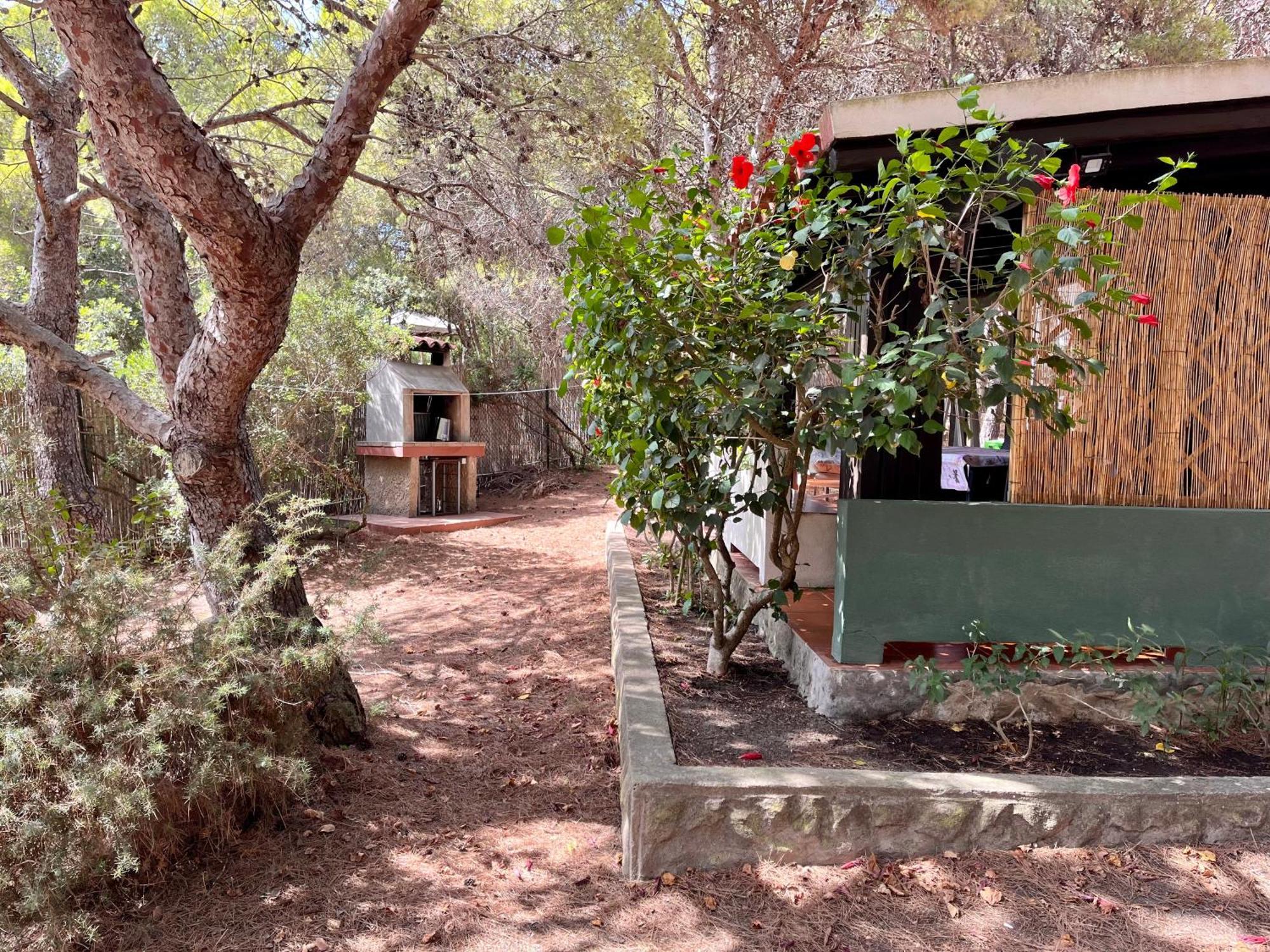 30 Mt Dalla Holiday home *